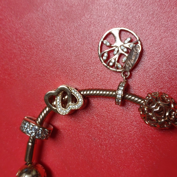 Authentic Pandora Beautiful 14k Rose gold bracelet with customized charms. - Picture 4 of 7